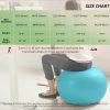 Yoga Ball Exercise Ball for Working Out, 5 Sizes Gym Ball, Birthing Ball for Pregnancy, Swiss Ball for Physical Therapy, Balance, Stability, Fitness, Office Ball Chair, Quick Pump Included